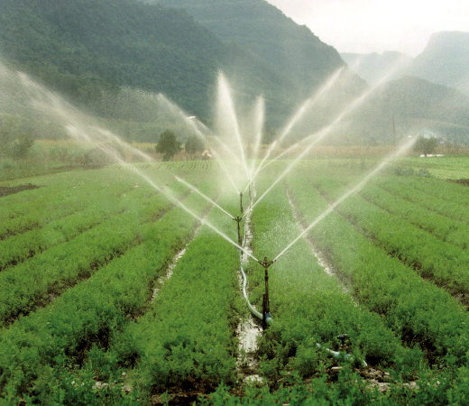 image02