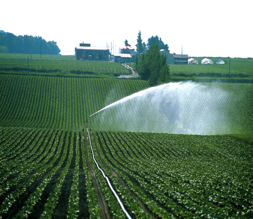 image02